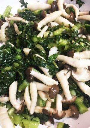 あると便利！お弁当にも！野沢菜しめじ-レシピのメイン写真