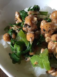 大根の葉っぱのゴマあえ&納豆のご飯-レシピのメイン写真