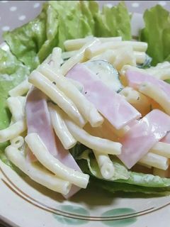 マカロニサラダヨーグルトソースあえ-レシピのメイン写真