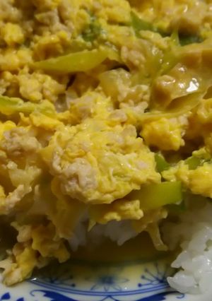 簡単☆さっぱり 塩味親子丼-レシピのメイン写真