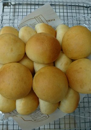 白神こだま酵母で基本のマルパン♪-レシピのメイン写真