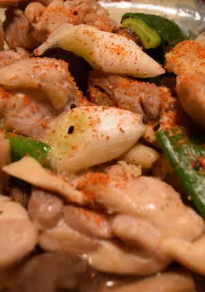 鶏とネギの塩焼き-レシピのメイン写真