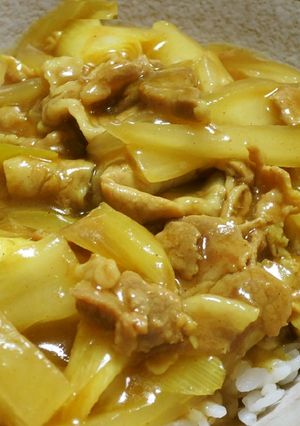 簡単！早い！白菜・大根が美味しいカレー丼-レシピのメイン写真