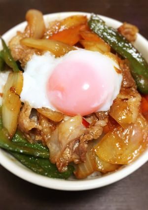 甘くない☆スタミナ丼〜ピリ辛ガッツリ〜-レシピのメイン写真