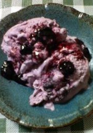 フローズンヨーグルト（ブルーベリー味）-レシピのメイン写真