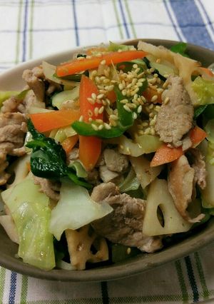 蓮根の歯応えが嬉しい！豚肉と野菜の塩炒め-レシピのメイン写真
