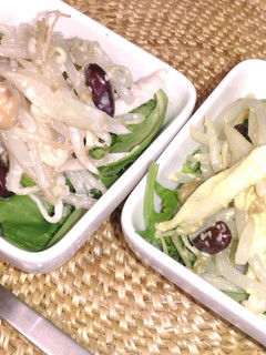 「安い食材代表もやし」とごぼうのサラダ-レシピのメイン写真