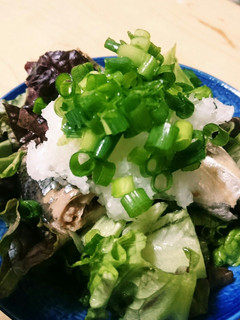 さんまの水煮缶サラダ-レシピのメイン写真