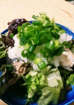 さんまの水煮缶サラダ-レシピのメイン写真