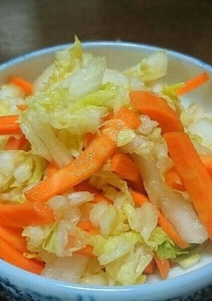 白菜のパリパリ漬け-レシピのメイン写真