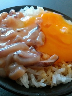 絶品塩辛卵かけご飯❤見た目よりおいしいよ-レシピのメイン写真