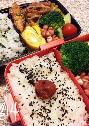 簡単*豚肉のしょうが焼き彼弁♡-レシピのメイン写真