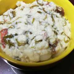 さっぱりめかぶうどん-レシピのメイン写真