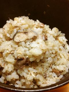 いわしと梅干しの炊き込みご飯-レシピのメイン写真