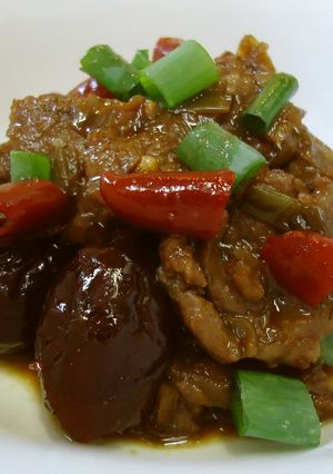 漢方医お勧め薬膳!紅焼羊肉-レシピのメイン写真