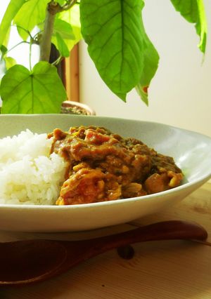 大量消費！白菜カレー♪-レシピのメイン写真