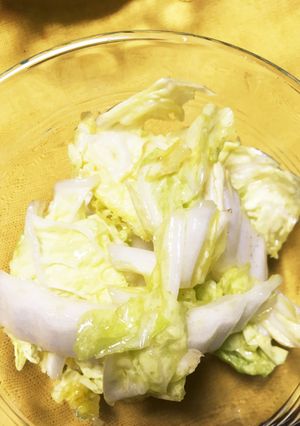 白菜の浅漬け-レシピのメイン写真