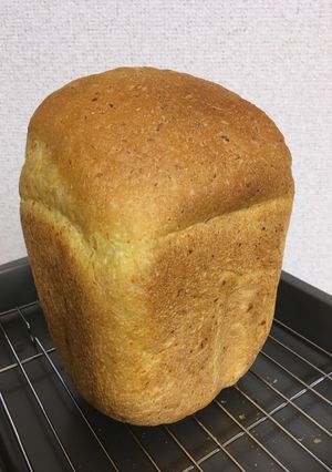 HBで簡単！人参の減塩パン〜離乳食にも☆-レシピのメイン写真