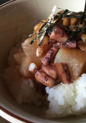 イカ大根と納豆のご飯-レシピのメイン写真