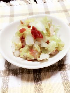 さっぱり白菜サラダ-レシピのメイン写真