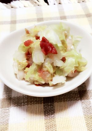 さっぱり白菜サラダ-レシピのメイン写真