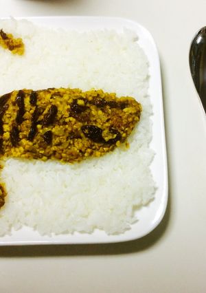 愛しのフットフットちゃんカレー-レシピのメイン写真