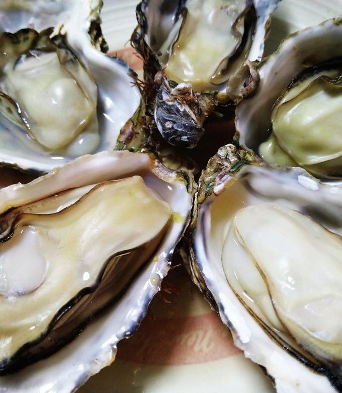 殻付き牡蠣はレンジでチン-レシピのメイン写真