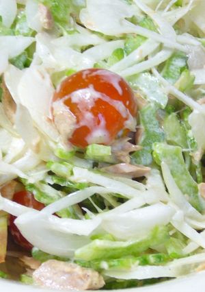 苦くないゴーヤサラダ♪-レシピのメイン写真