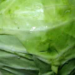 รูปของ キャベツ1玉を長持ちさせる方法