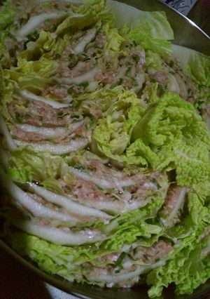 挽き肉でミルフィーユ鍋-レシピのメイン写真