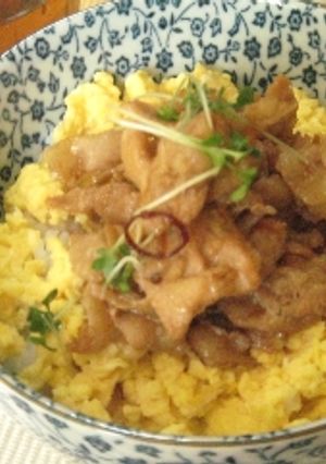 どちらかというと女のコ向き？～の豚玉丼♪-レシピのメイン写真