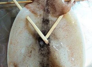 これで完璧！丸まらないイカ一夜干し焼き方-レシピのメイン写真