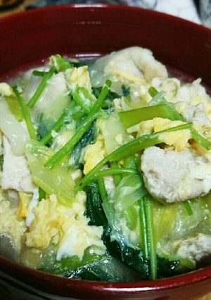 さっぱり鶏塩うどん-レシピのメイン写真