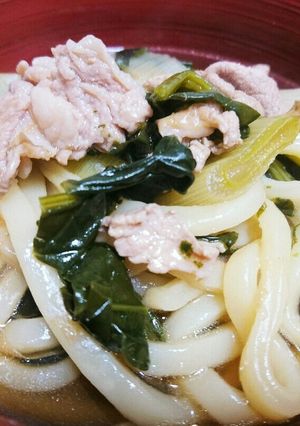 病気のときに！胃腸に優しいおうどん-レシピのメイン写真