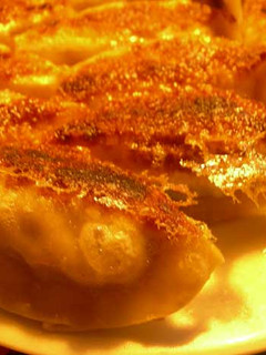 キャベツと豚挽肉の餃子-レシピのメイン写真