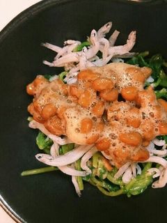 豆苗のツナしらす納豆-レシピのメイン写真