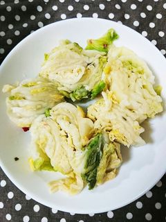 白菜の漬け物-レシピのメイン写真