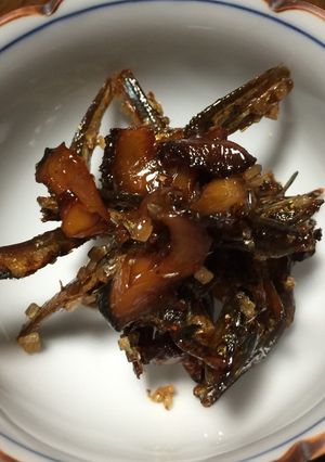 ニシ貝といりこの佃煮-レシピのメイン写真