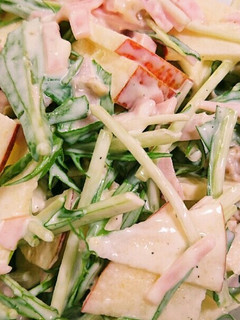 低糖質☆りんご消費!水菜とのサラダ-レシピのメイン写真