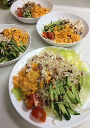 もやし 冷やし中華風サラダ-レシピのメイン写真