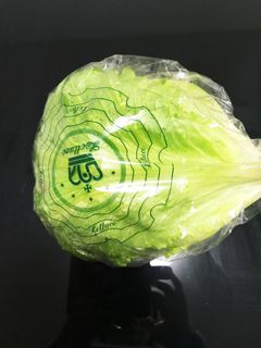 レタスをシャキシャキに保存する方法-レシピのメイン写真