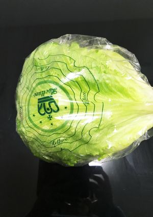 レタスをシャキシャキに保存する方法-レシピのメイン写真