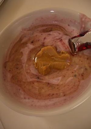 サンドもいいけど？PBJ＆ハニーグルト♪-レシピのメイン写真