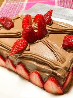 卵焼き器deクリスマスケーキ-レシピのメイン写真