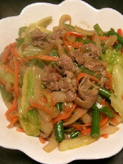 日本亭風~肉入り野菜炒め~-レシピのメイン写真