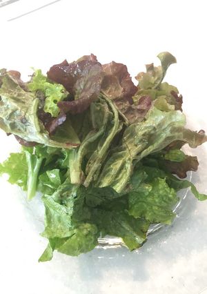 シンプル中華サラダ-レシピのメイン写真