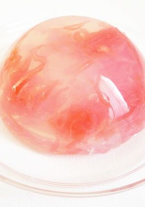 ピンクグレープフルーツ寒天ゼリー-レシピのメイン写真