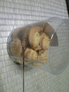 絞り出しクッキー-レシピのメイン写真