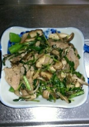 4月14日晩飯【肉野菜炒め】-レシピのメイン写真