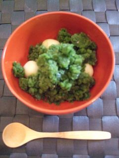 抹茶シャーベット ~豆腐白玉団子ぞえ~-レシピのメイン写真